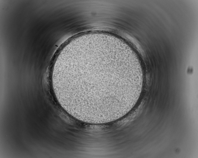 X0000103410875200810241206