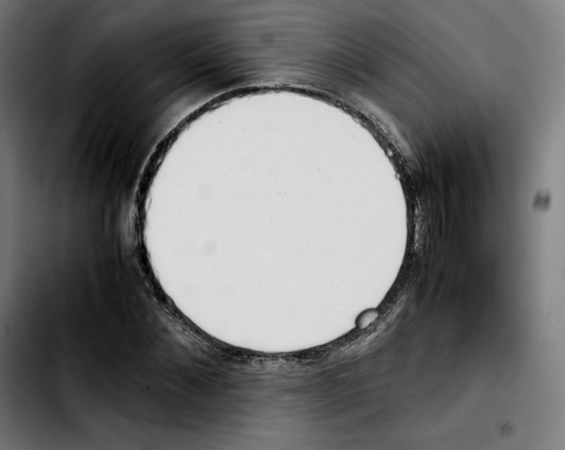 X0000103410876200810241206