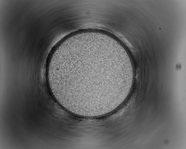 X0000103410877200810241206