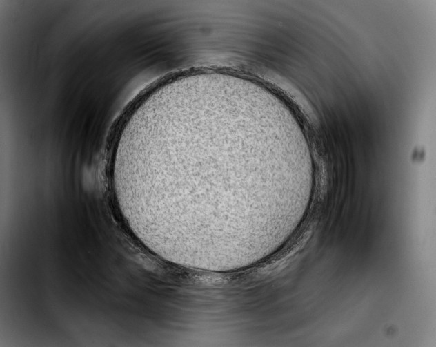 X0000103410878200810241206