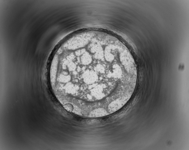 X0000103410879200810241206