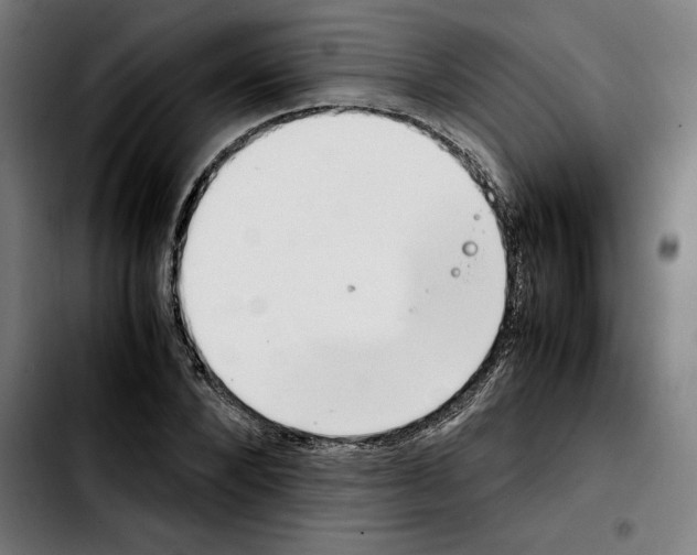 X0000103410880200810241206