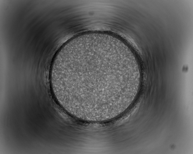 X0000103410881200810241206