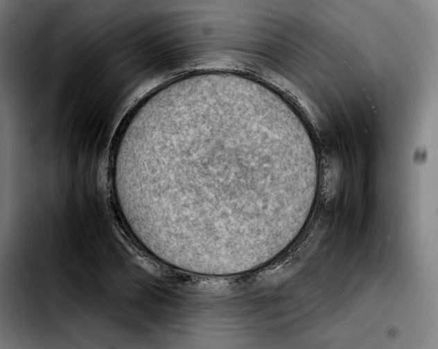 X0000103410882200810241206