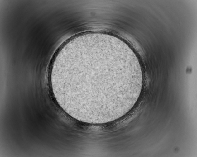 X0000103410883200810241206