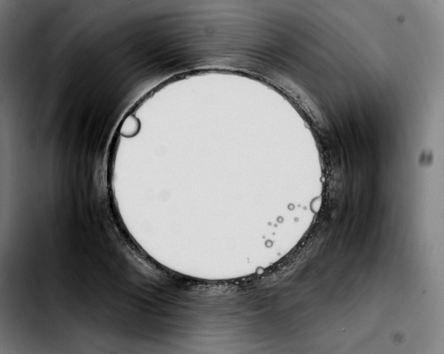 X0000103410884200810241206