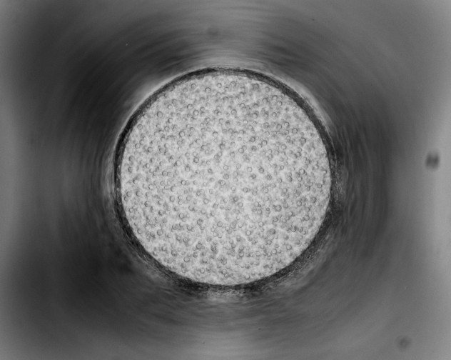 X0000103410887200810241206