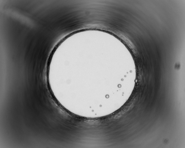 X0000103410888200810241206