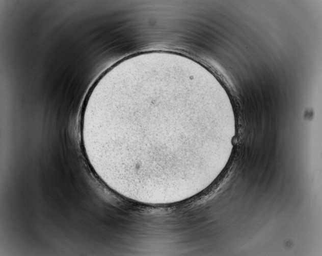 X0000103410892200810241206