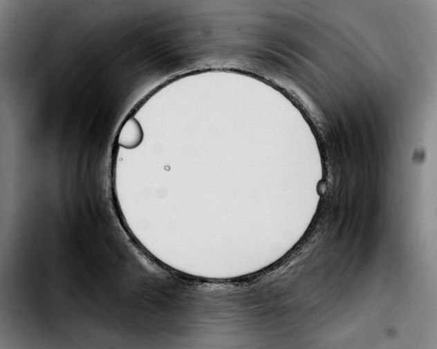 X0000103410894200810241206