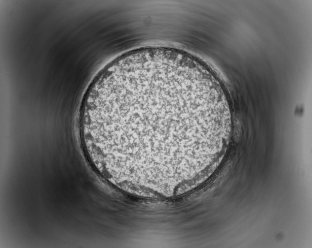 X0000103410895200810241206