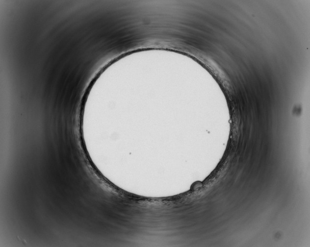 X0000103410896200810241206