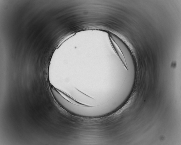 X0000103410897200810241206