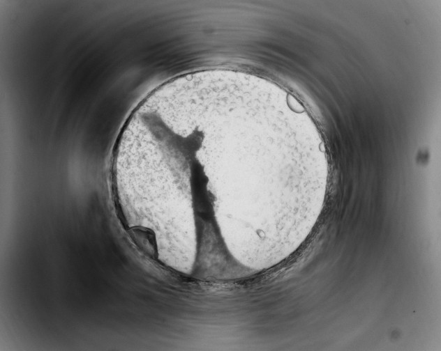 X0000103410899200810241206