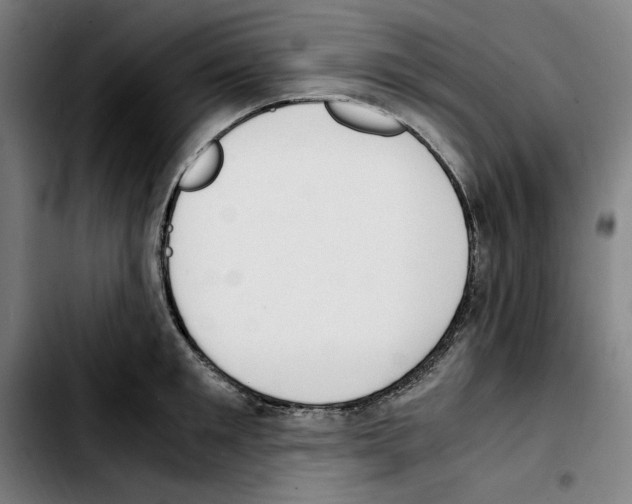 X0000103410901200810241206