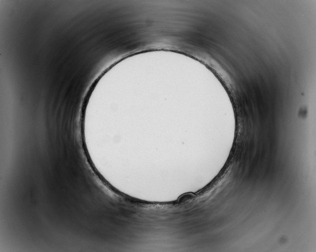 X0000103410902200810241206