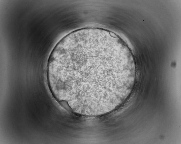 X0000103410903200810241206