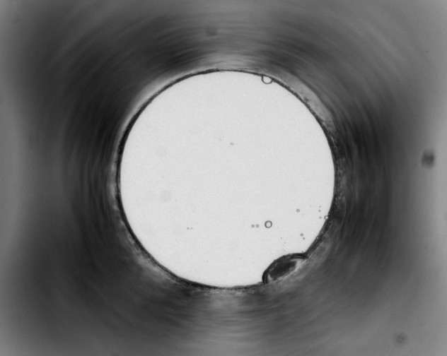 X0000103410904200810241206