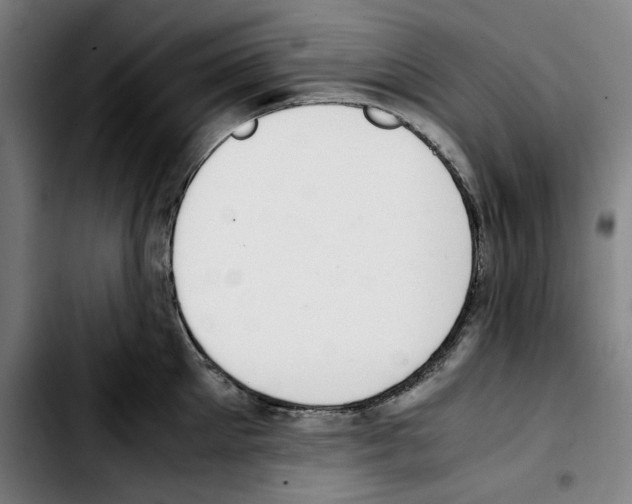 X0000103410905200810241206