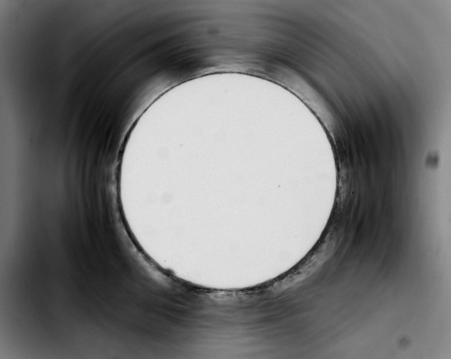 X0000103410906200810241206