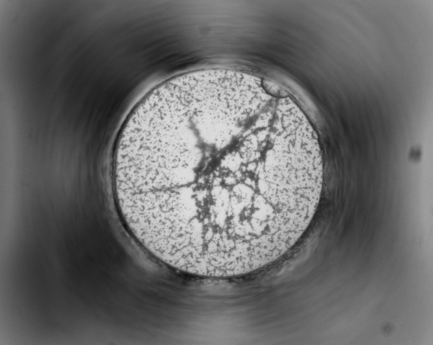 X0000103410907200810241206