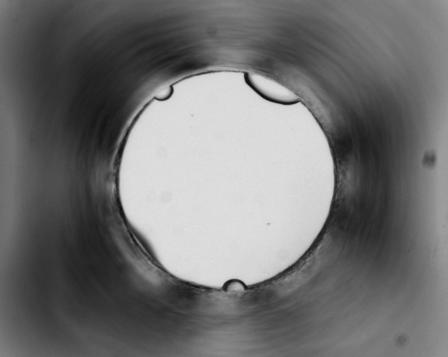 X0000103410908200810241206