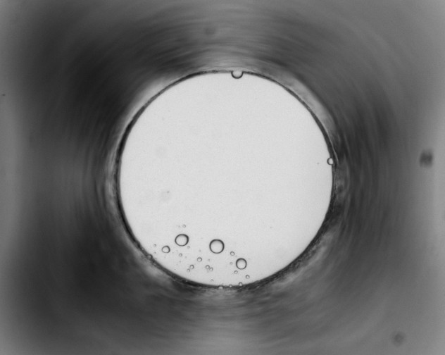 X0000103410909200810241206