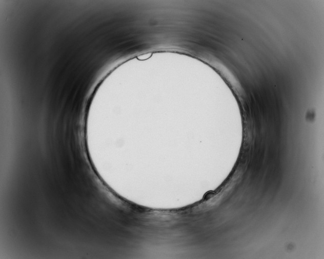 X0000103410910200810241206