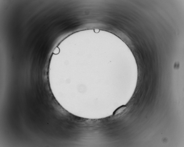 X0000103410912200810241206