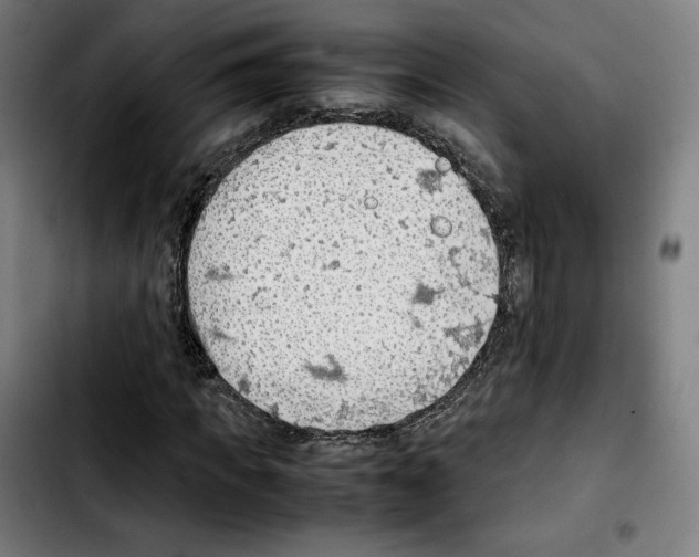 X0000103410917200810241205