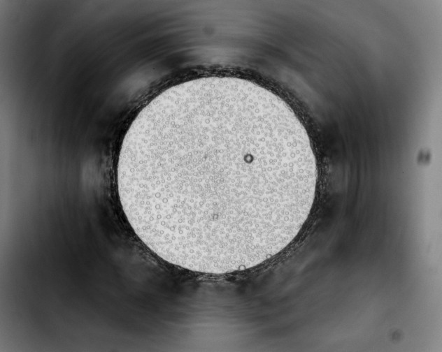 X0000103410918200810241205