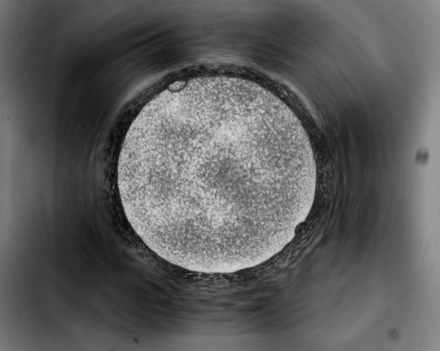 X0000103410919200810241205