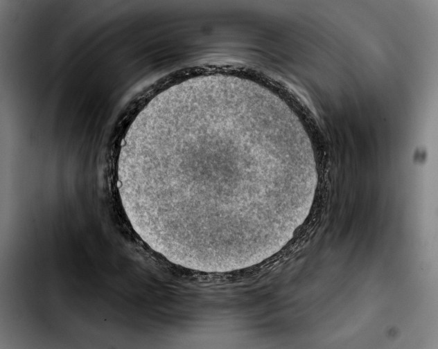 X0000103410920200810241205