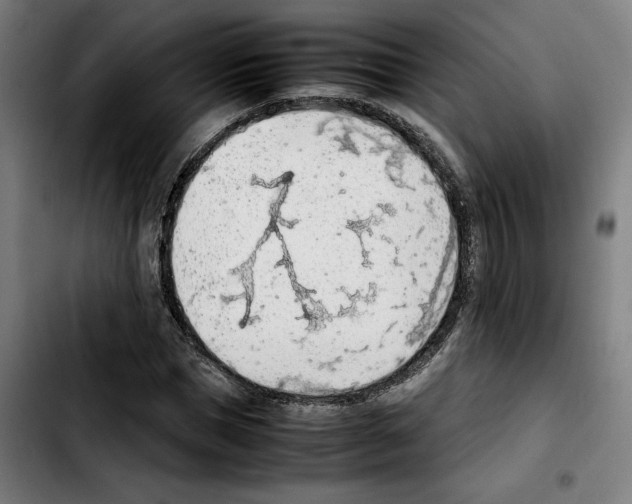 X0000103410921200810241205