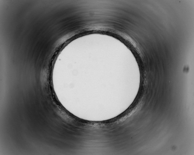 X0000103410922200810241205