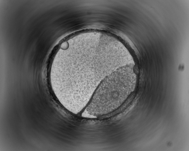 X0000103410923200810241205