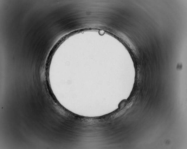 X0000103410924200810241205