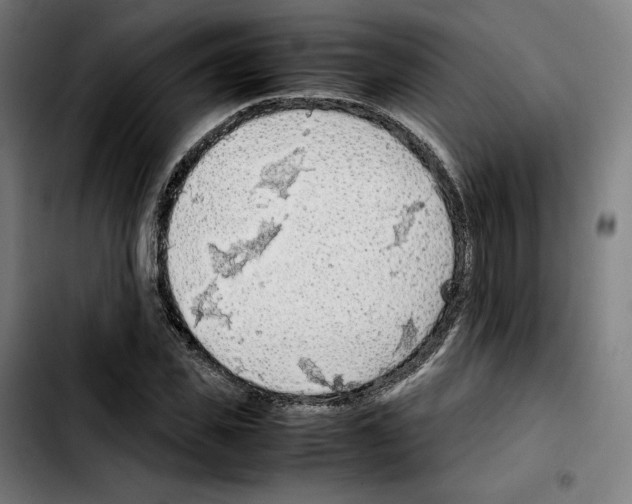 X0000103410925200810241205