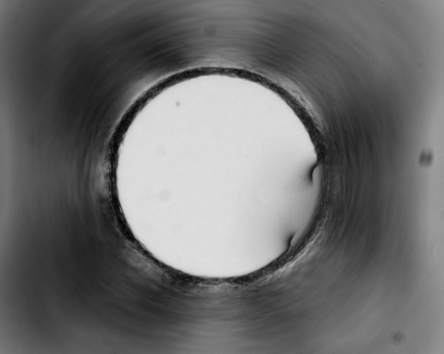 X0000103410926200810241205