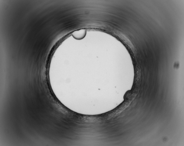 X0000103410928200810241205