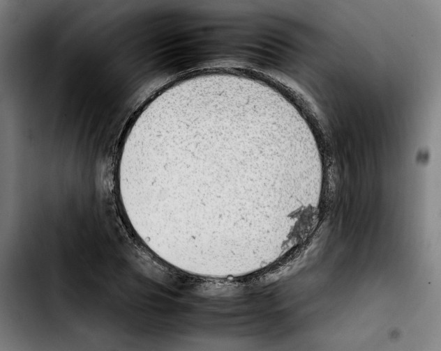 X0000103410929200810241205