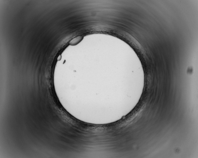 X0000103410930200810241205