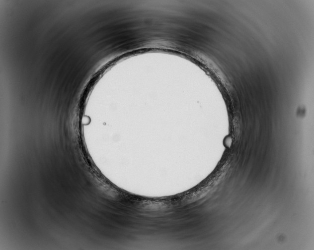 X0000103410931200810241205