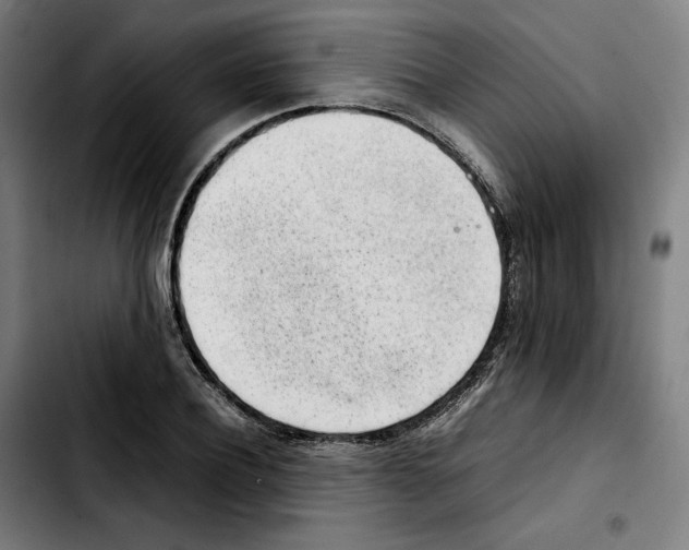 X0000103410932200810241205