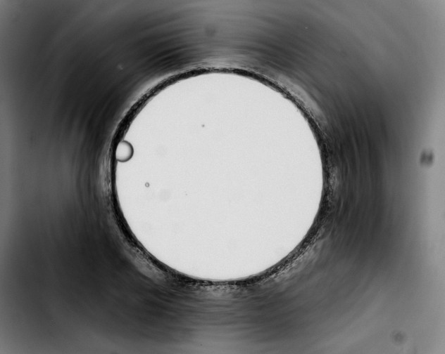 X0000103410934200810241205