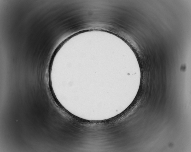 X0000103410936200810241205