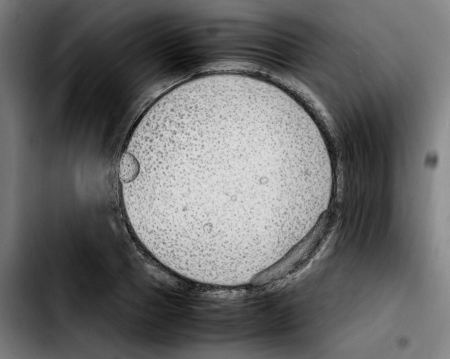 X0000103410937200810241205