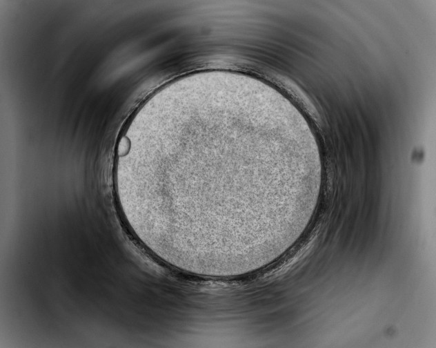 X0000103410938200810241205