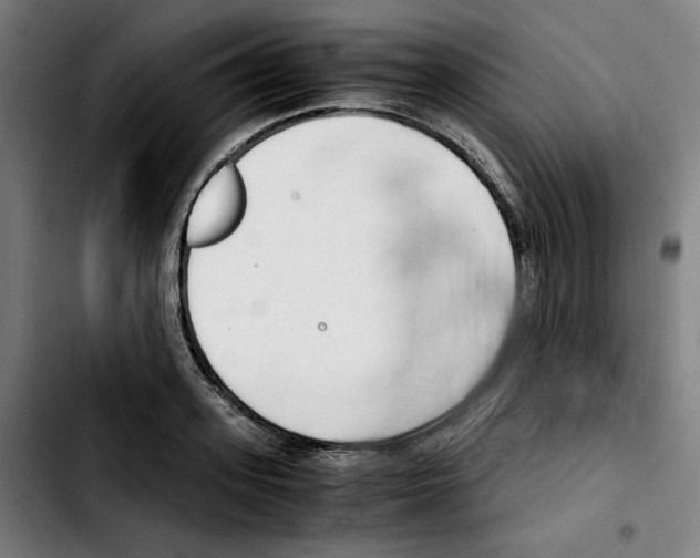 X0000103410939200810241205