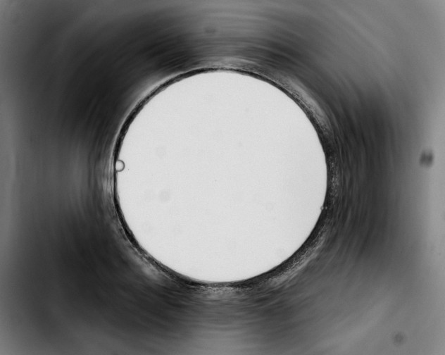 X0000103410940200810241205